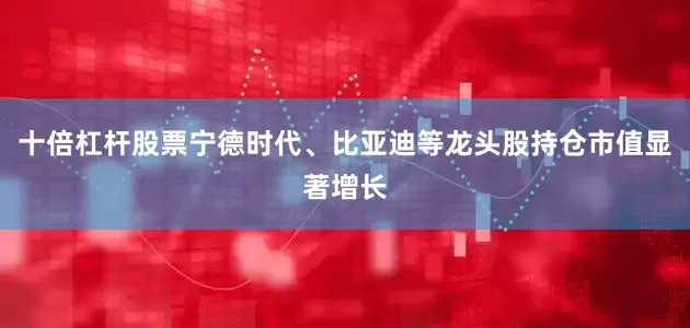 十倍杠杆股票宁德时代、比亚迪等龙头股持仓市值显著增长