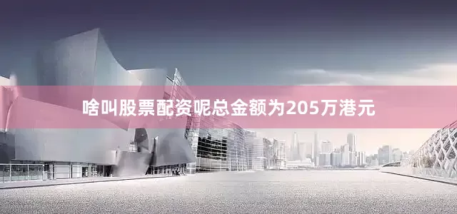 啥叫股票配资呢总金额为205万港元